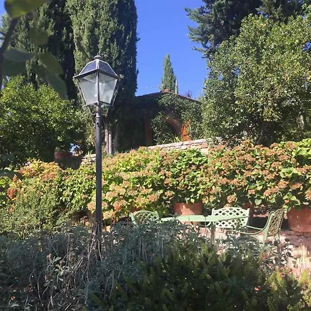 Cipressini *