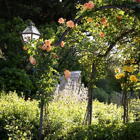 Dom wakacyjny Cipressini